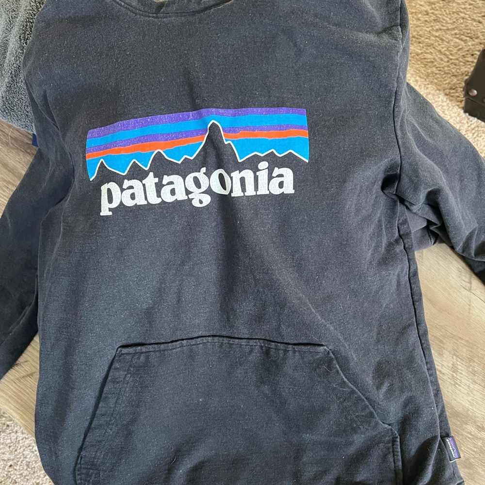 Patagonia  Hoodie